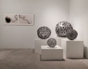 exposicion paula noya