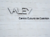 valey_cartel