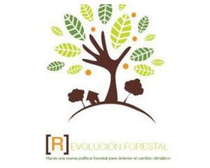 Exposición: “Bosques”