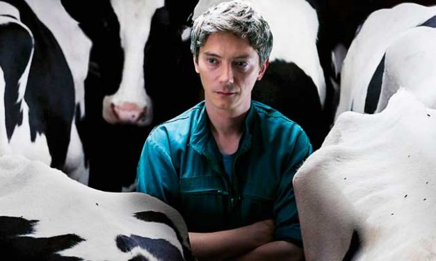 Cine. Un héroe singular