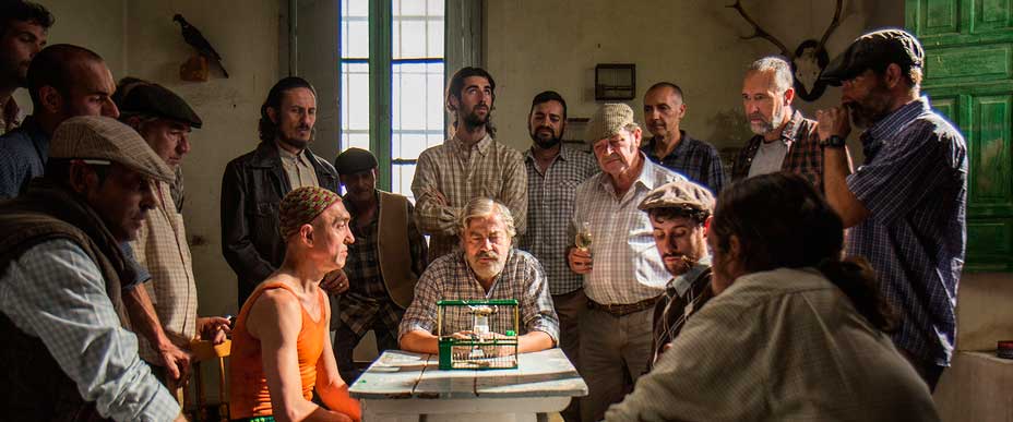 Cine. Jaulas