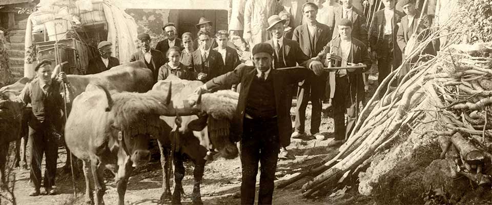 Exposición. “El Progreso de Asturias”