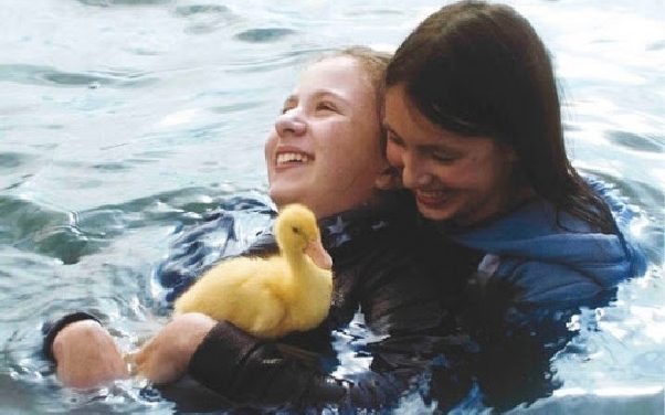Cine de verano. Programación infantil y juvenil: Aves de paso