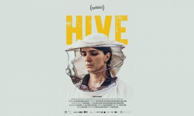 Cine. Hive