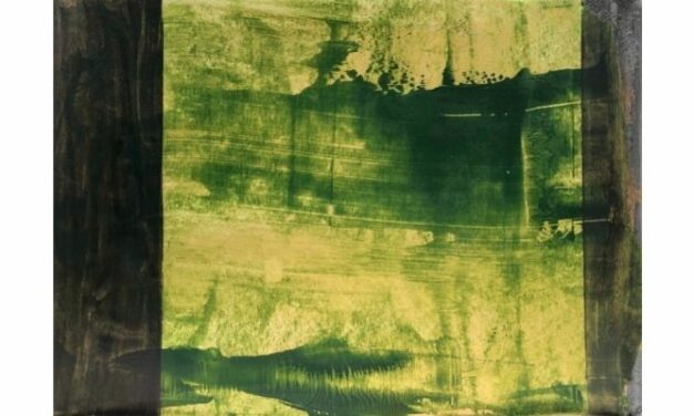 Exposición: Ramón Isidoro – Gérmenes