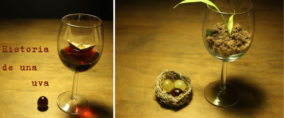 Circuito de literatura – Historia de una uva: Viaje literario y sensorial a través del vino