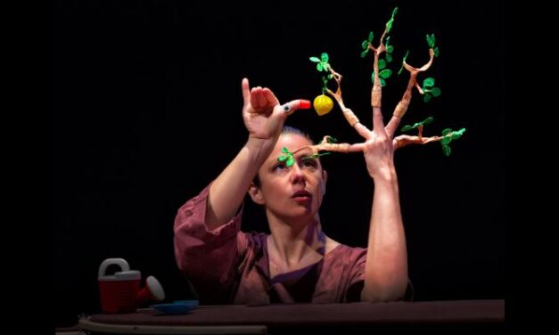 Tejiendo Palabras – La Semilla: La Canela, teatro de títeres