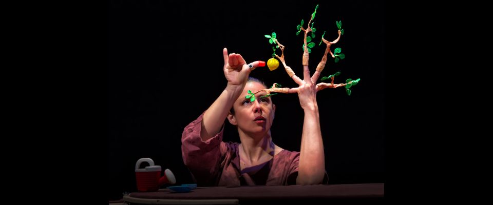 Tejiendo Palabras – La Semilla: La Canela, teatro de títeres